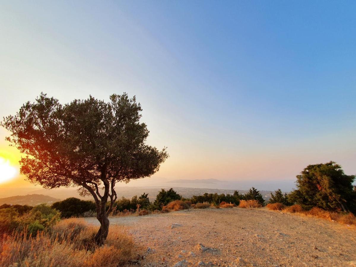 Orea Ellas Kos - Apartments & Bistro-Cafe Lagoudi Zia Εξωτερικό φωτογραφία